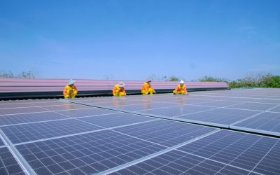 Understanding Solar in NZ